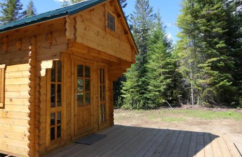 Hastings Highlands Autre | Cozy Cabin #2