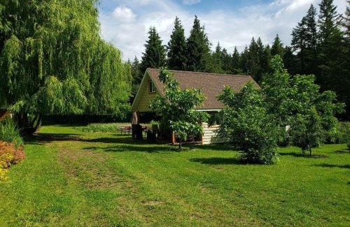 Tappen Chalet De Ski | Cozy Cabin, 2 min to the HWY1