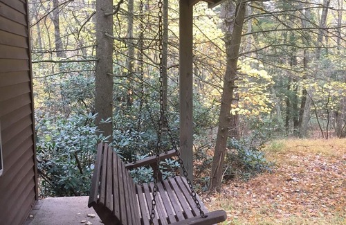 Mifflinburg Cabine | Cabine confortable, idéale pour la famille et les amis!