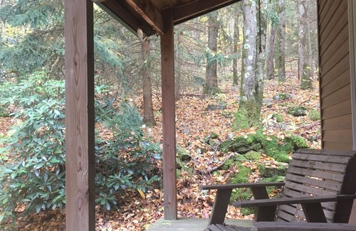 Mifflinburg Cabine | Cabine confortable, idéale pour la famille et les amis!