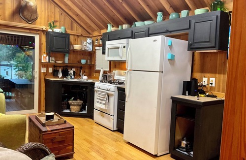 Fort McCoy Cabine | Cozy cabin in charming Salt Springs Resort with WiFi and a screened in porch