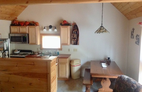 Old Forge Cabine | Cozy cabin in Old Forge. 3 miles north of town.