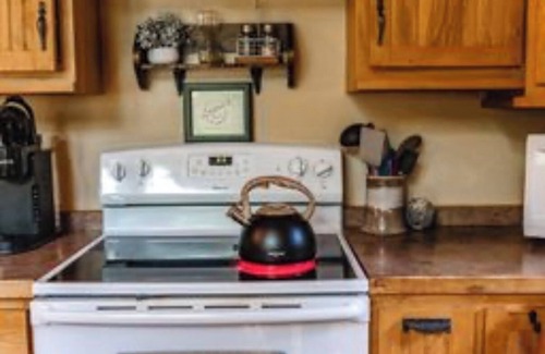 Webster Cabine | Cozy Cabin in the Woods