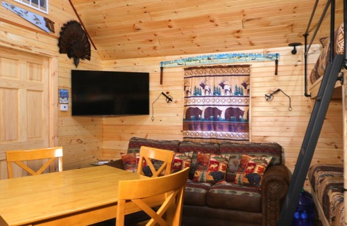 Rooseveltown Cabine | Cozy cabin located in Brasher Falls, NY. Pet friendly!