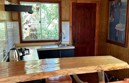 Valdivia Cabine | Cozy cabin nestled in the Valdivian Forest
