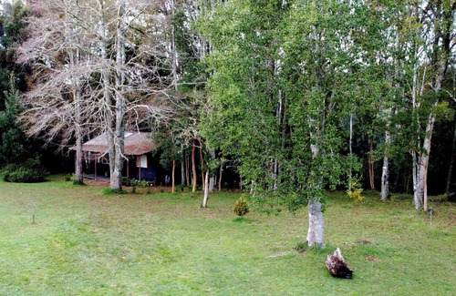 Valdivia Cabine | Cozy cabin nestled in the Valdivian Forest