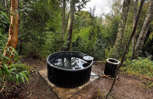 Valdivia Cabine | Cozy cabin nestled in the Valdivian Forest