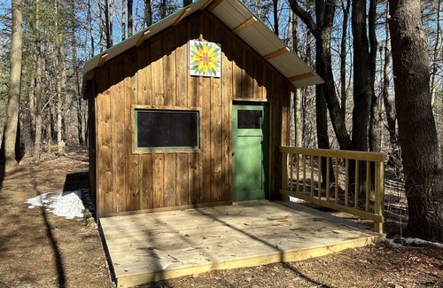 Prattsburgh Cabine | Cozy cabin nestled in the woods