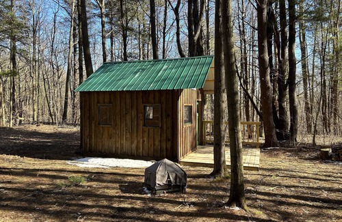 Prattsburgh Cabine | Cozy cabin nestled in the woods