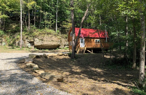 Chandlersville Cabine | Cozy cabin on 30 acres just minutes from The Wilds with AC, WiFi