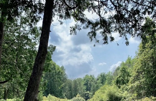 West Grey Cabine | Cozy cabin on a river with an outdoor wood burning sauna and firepit