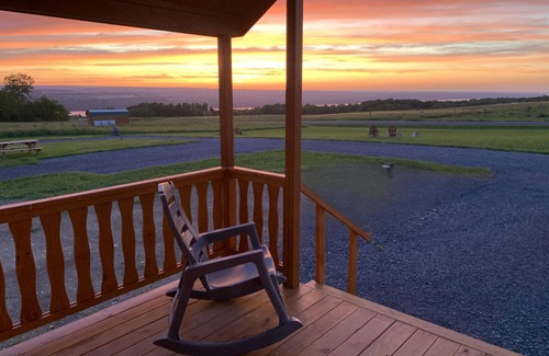 Hector Cabine | Cozy Cabin on Seneca Wine Trail Vineyard View 3