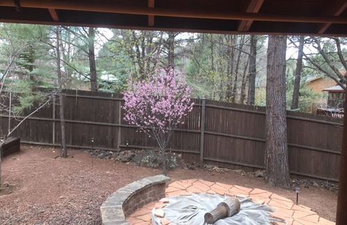 Pinetop Cabine | COZY CABIN PLCC TALL PINES PRIVACY GOLF HIKE BIKE ENJOY FRESH COOL MOUNTAIN AIR!