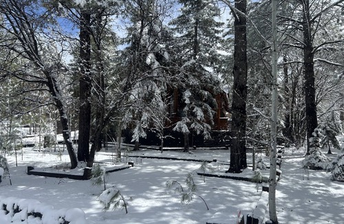 Pinetop Cabine | COZY CABIN PLCC TALL PINES PRIVACY GOLF HIKE BIKE ENJOY FRESH COOL MOUNTAIN AIR!