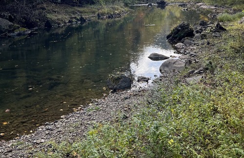 McDowell Cabine | Cozy Cabin Retreat on the Bullpasture River!