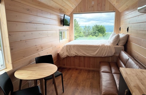 Burdett Cabine | Cozy cabin tucked in the heart of the finger lakes with a lake view and patio!