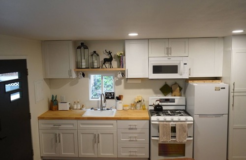 Brinnon Cabine | Cozy cabin with hot tub and fire pit in brilliant Brinnon