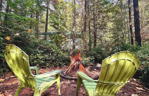 Brinnon Cabine | Cozy cabin with hot tub and fire pit in brilliant Brinnon