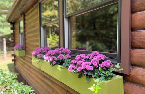 New Paltz Cabine | Cozy cabin with Mohonk Preserve access, wifi, AC, and adjacent studio building