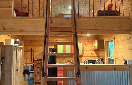 Middletown Springs Cabine | cozy cabin near skiing, biking, fishing, dog friendly