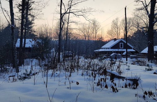 Washington Cabine | Cozy Camp Nestled in the Woods