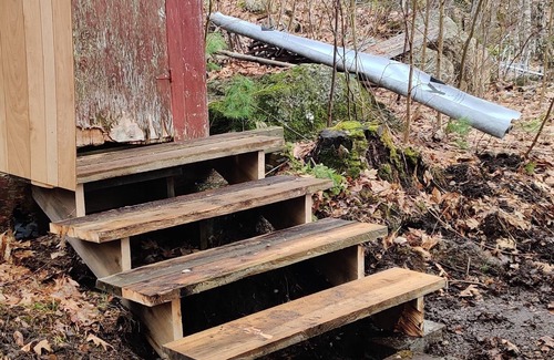 Washington Cabine | Cozy Camp Nestled in the Woods