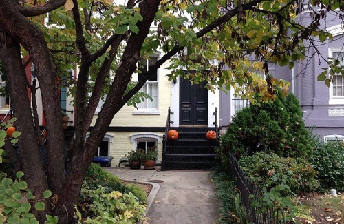 Capitol Hill Appartement | Confortable appartement Capitol Hill Garden, derrière le Capitole