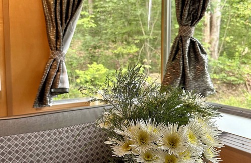Willseyville Maison | Cozy caravan in Willseyville with authentic sauna in bucolic setting
