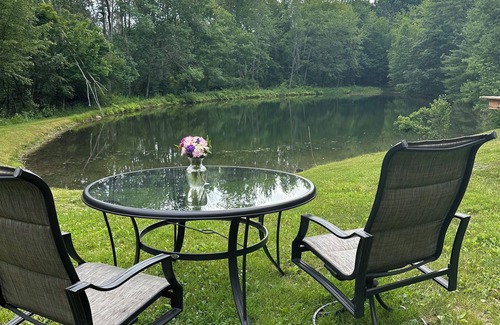 Willseyville Maison | Cozy caravan in Willseyville with authentic sauna in bucolic setting