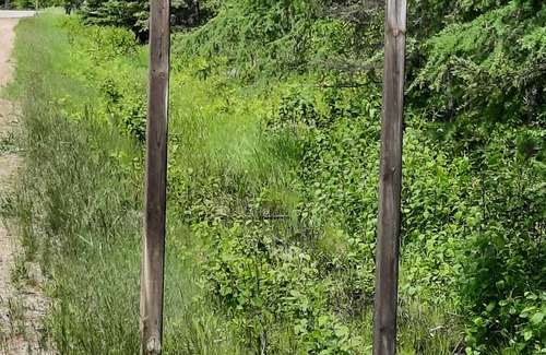 South Algonquin Maison | Cozy century home close to Algonquin Park and snowmobile trails.