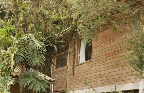 Praia do Rosa Maison | Cozy chalet immersed in native forest close to the beach and downtown Rosa!