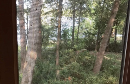 Charlotte Cottage | Cozy Cottage on the shores of Lake Champlain with views of the Adirondacks