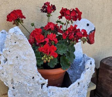 Livezile Maison | Cozy, country house