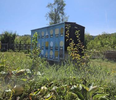 Livezile Maison | Cozy, country house