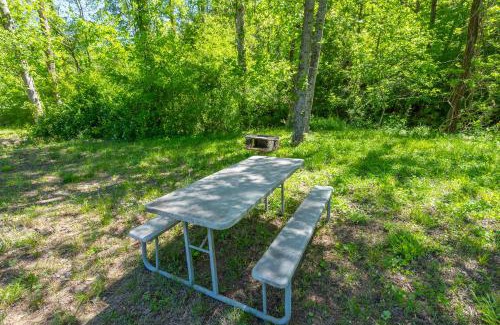 Vein Mountain Maison | Cozy Cove Cabin Pet Friendly & Creek Access