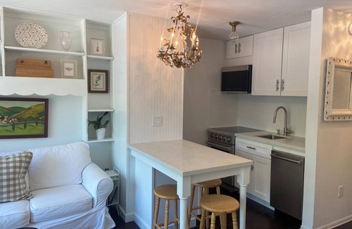 Aspen Appartement | Cozy Downtown Aspen Studio - April Ski Special