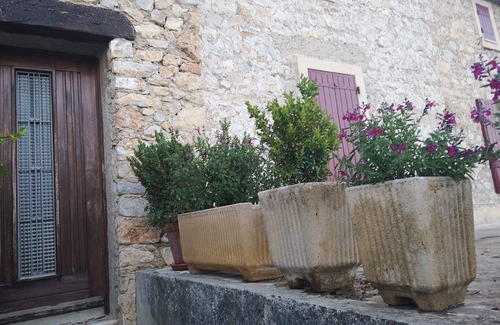 Merindol-les-Oliviers Appartement | Cozy flat in Provence - view to the Mont Ventoux