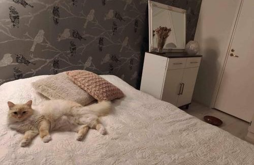 Kuopio Maison | Cozy Forest Retreat in Kuopio - Perfect for Families Work Trips