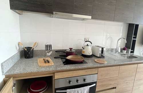 Concepcion Appartement | Cozy fully equipped apartment in the center of Concepción.