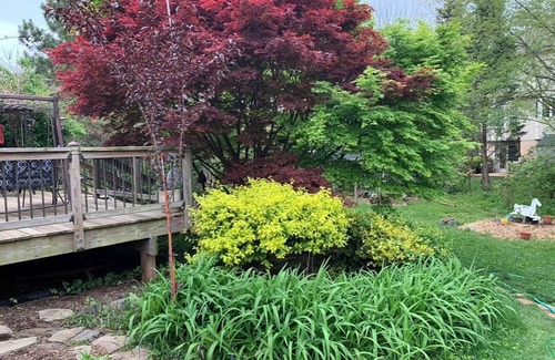 Manassas Appartement | Cozy guest suite in Manassas near historic town and park
