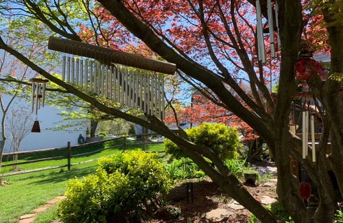 Manassas Appartement | Cozy guest suite in Manassas near historic town and park