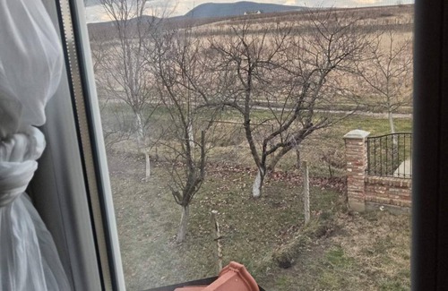 Vrsac Maison | Cozy home next to Vrsac vineyards