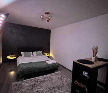 Petrosani Appartement | Cozy Home Studio
