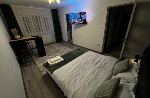 Petrosani Appartement | Cozy Home Studio