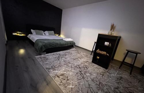 Petrosani Appartement | Cozy Home Studio