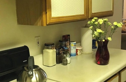 Bethesda Appartement | Cozy, homey, cute place walking to train and buses
