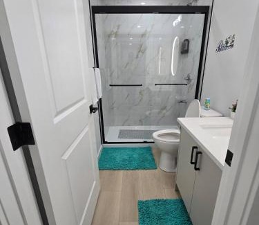 Southwest Calgary Appartement | Cozy Modern Spacious 2 Bedroom and full kitchen in Southwest Calgary