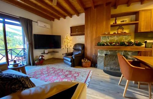 Platres Appartement | Cozy mountain apartment in Platres