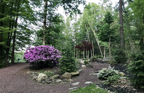 Drums Maison | Retraite au bord du lac pour se ressourcer ou se détendre! Kayaks, canoës, salle de jeux