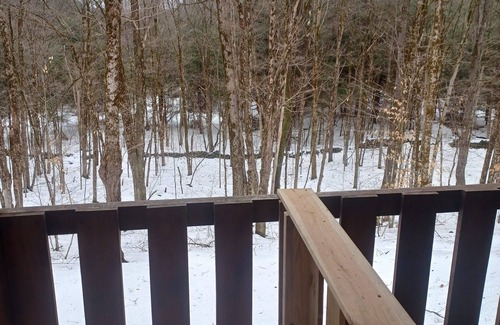Durhamville Cabine | Cozy New Cabin with all modern conveniences surrounded by woods and wildlife..